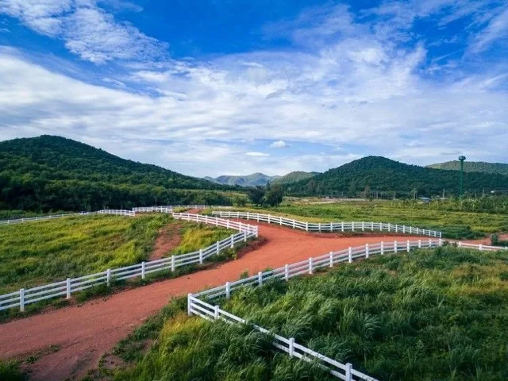 ที่ดินแบ่งขายวิวภูเขารายล้อม 360 องศา ตำบลกลัดหลวง