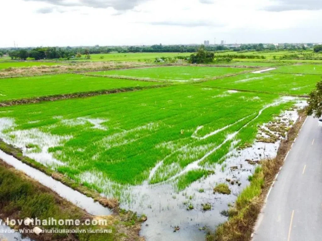 ขายที่ดินบางใหญ่ ซอยวัดพระเงิน นนทบุรี พื้นที่ 145 ตรว