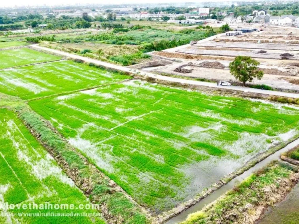 ขายที่ดินบางใหญ่ ซอยวัดพระเงิน นนทบุรี พื้นที่ 145 ตรว