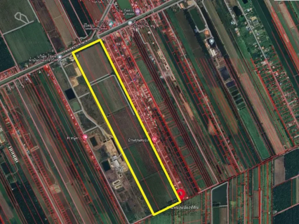 ขายที่ดินเปล่า 264-0-11 ไร่ ถนนชลประทาน 4 ตหนองโรง อหนองแค