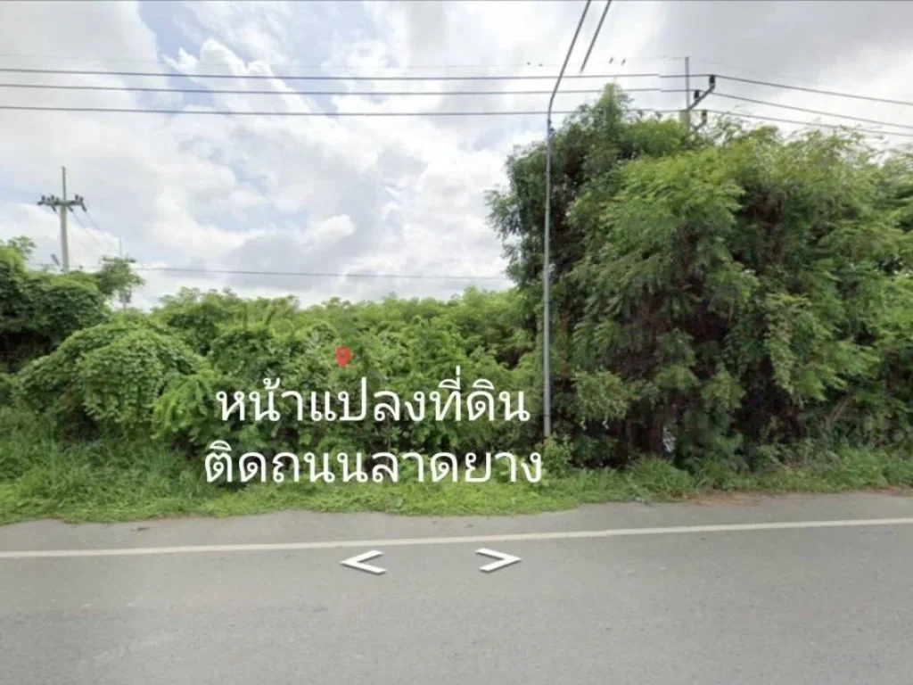 ขายที่ดิน ตเขาสมอคอน อท่าวุ้ง จลพบุรี 4-0-65 ไร่