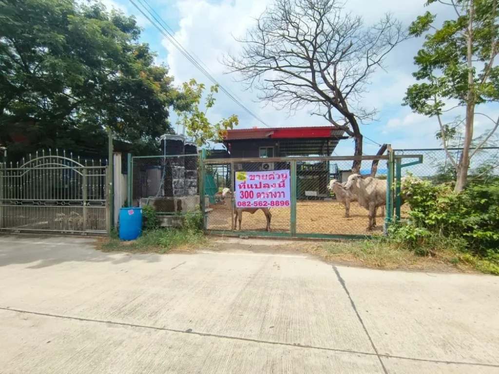 ขายบ้านพร้อมที่ดิน คลอง6 คลองหลวง ซอยคลองหกตะวันตก69