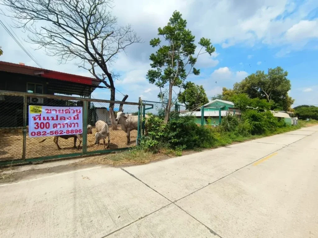 ขายบ้านพร้อมที่ดิน คลอง6 คลองหลวง ซอยคลองหกตะวันตก69