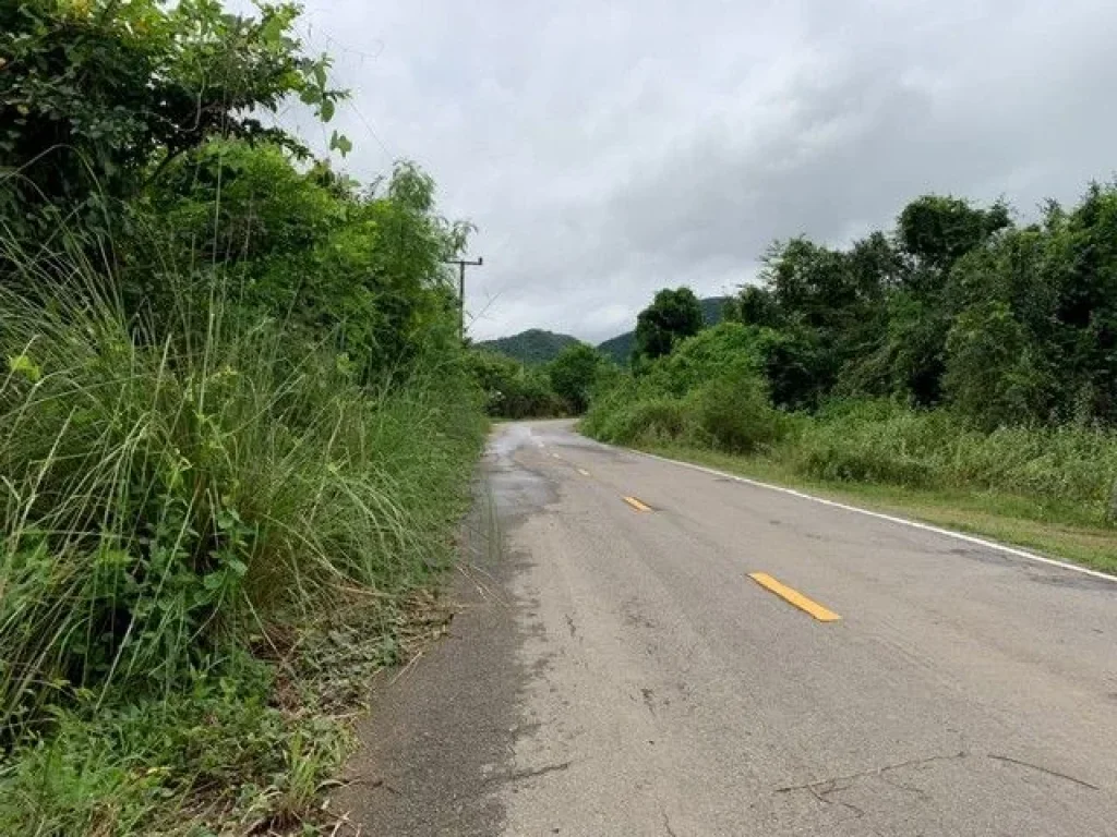 ขายที่ดินทำจัดสรร ราคาถูก น้ำไม่ท่วม ติดถนนดำ ยางชุม