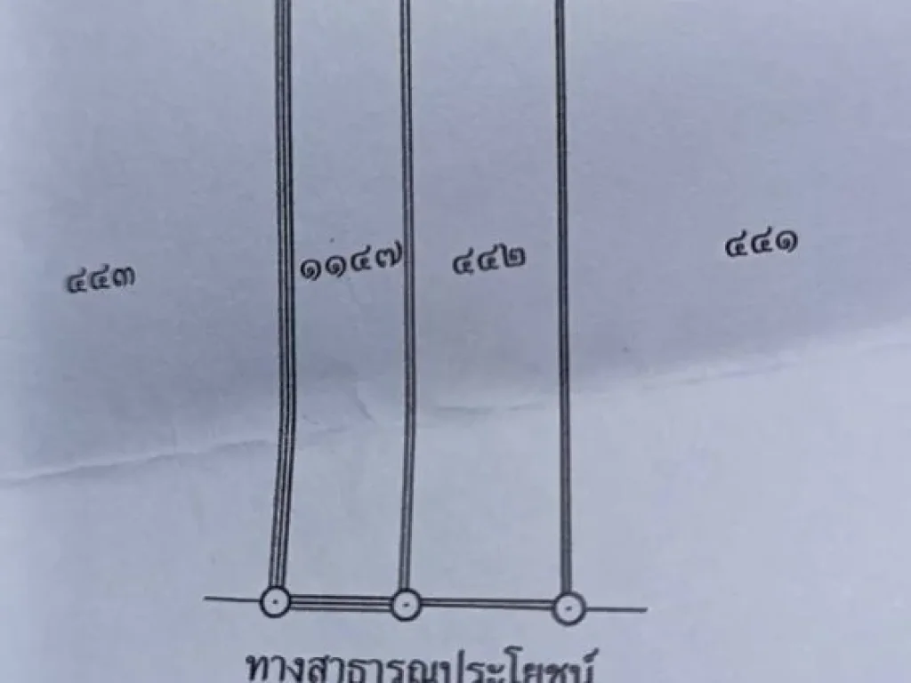 ขายที่ดิน ราคาประเมิน 221 ตารางวา ไทรน้อย นนทบุรี