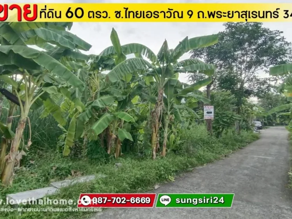 ขายที่ดินพระยาสุเรนทร์ 34 ซอยไทยเอราวัณ 9 พื้นที่ 60 ตรว