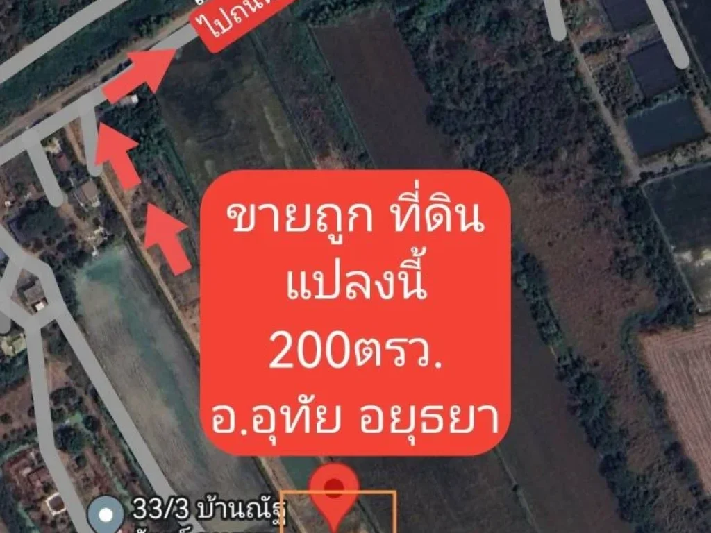 ขายที่ดินถูกมาก 200ตรว ตหนองไม้ซุง ออุทัย จอยุธยา