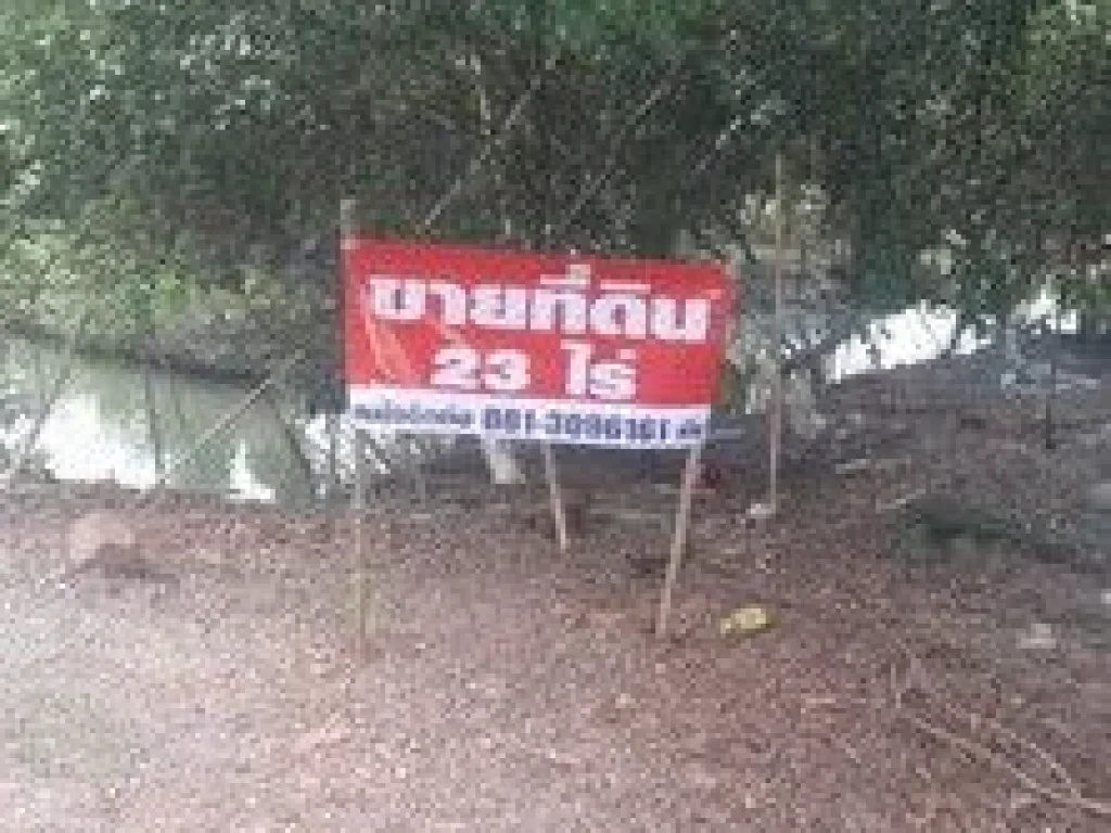 ขายที่ดิน 23 ไร่ 14 ตรางวา เจ้าของขายเอง ตำบลหนองสองห้อง