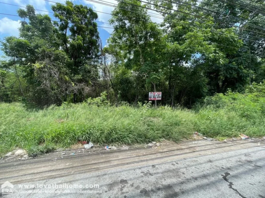 ขายที่ดิน ติดถนนพหลโยธิน หนองแค สระบุรี ขายถูกกว่าราคาประเมิน