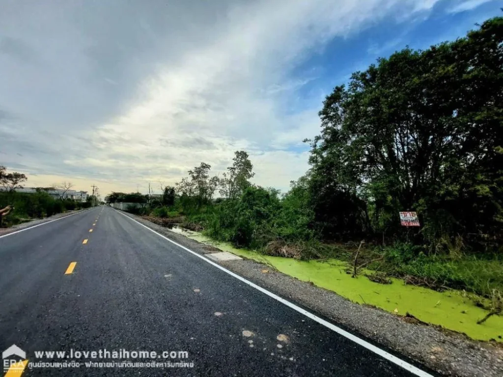 ขายที่ดิน คลองเจ็ด ปทุมธานี พื้นที่ 803 ตรว แปลงสวย ราคาถูก