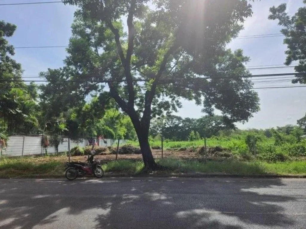 Land For Sale ขาย ที่ดิน 2 ไร่กว่า หมู่บ้านนวธานี