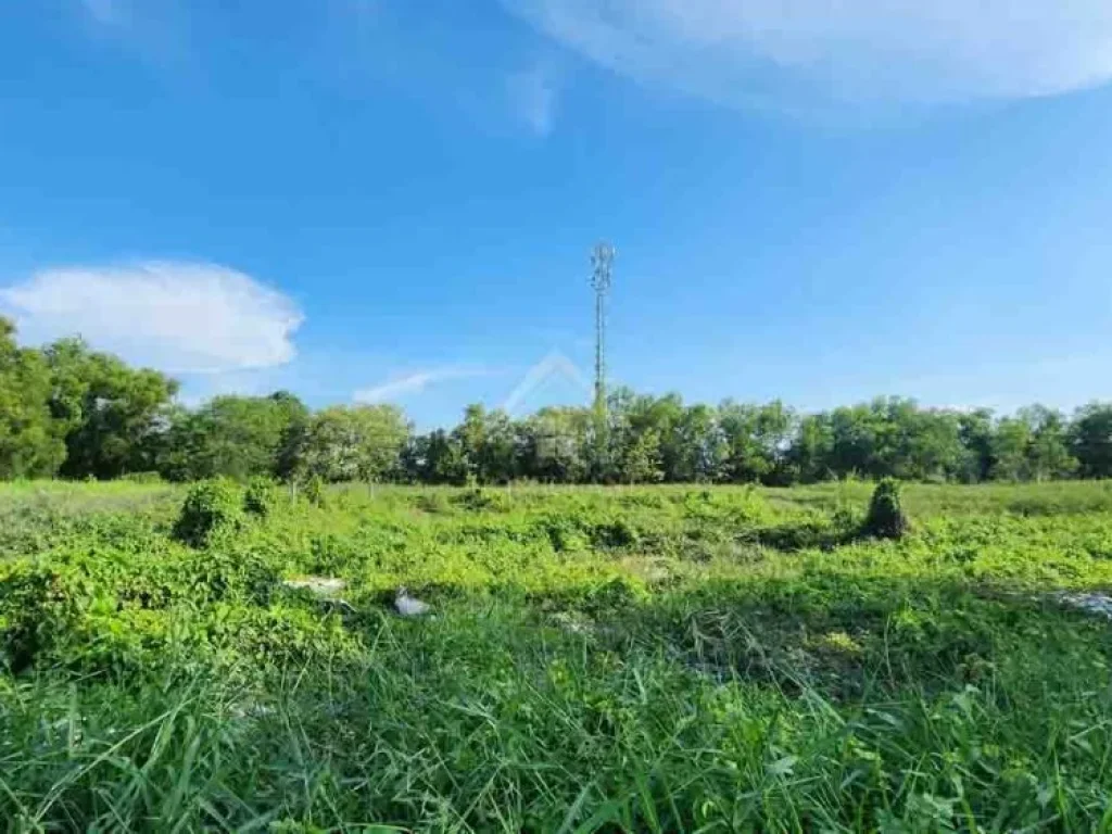 ที่ดินเปล่า ซอย สุพรรณโรจน์ หนองจอก - มีนบุรี