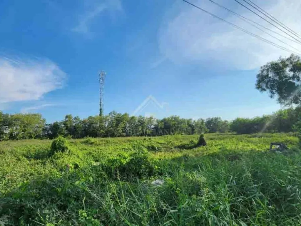 ที่ดินเปล่า ซอย สุพรรณโรจน์ หนองจอก - มีนบุรี