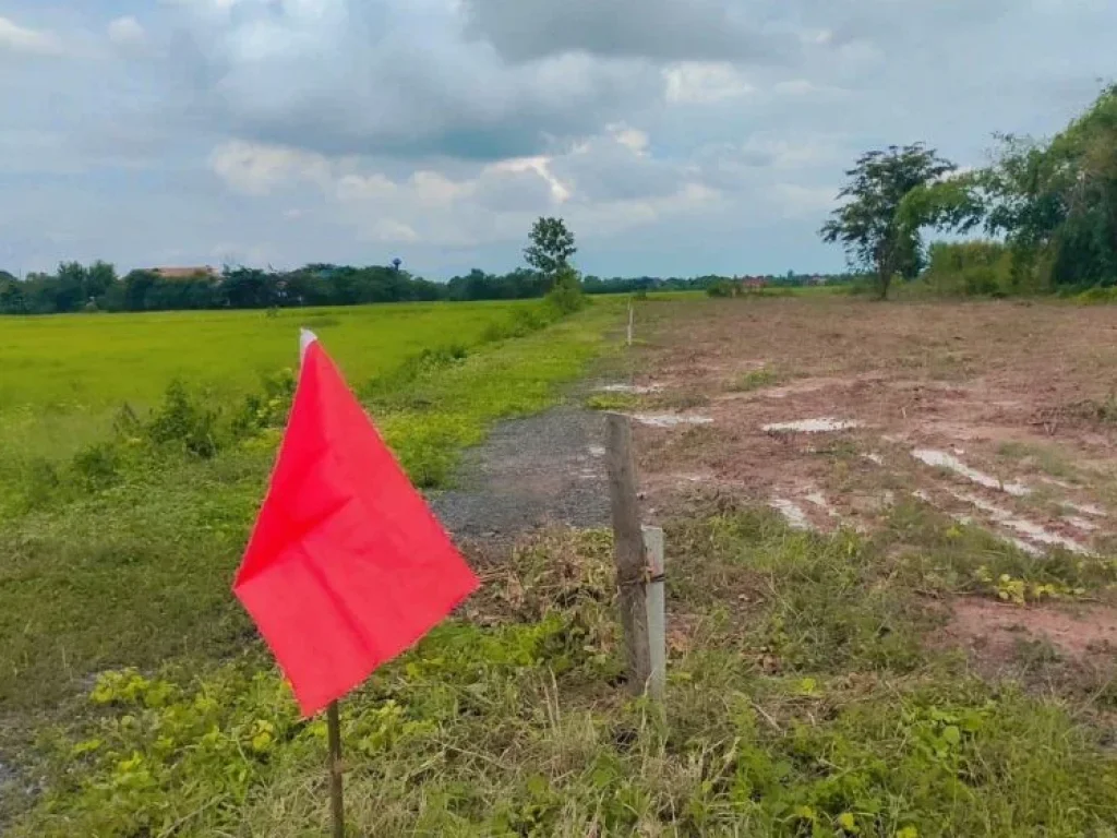 ขายที่ดินวิวเขา พรหมณี 100-150 ตรวถมแน่น เมือง นครนายก