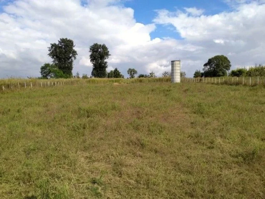 ขายที่ดิน โฉนด 3 ไร่ ใกล้ ม เทคโนโลยีสุรนารีแค่ 2 กม ทำเลดี