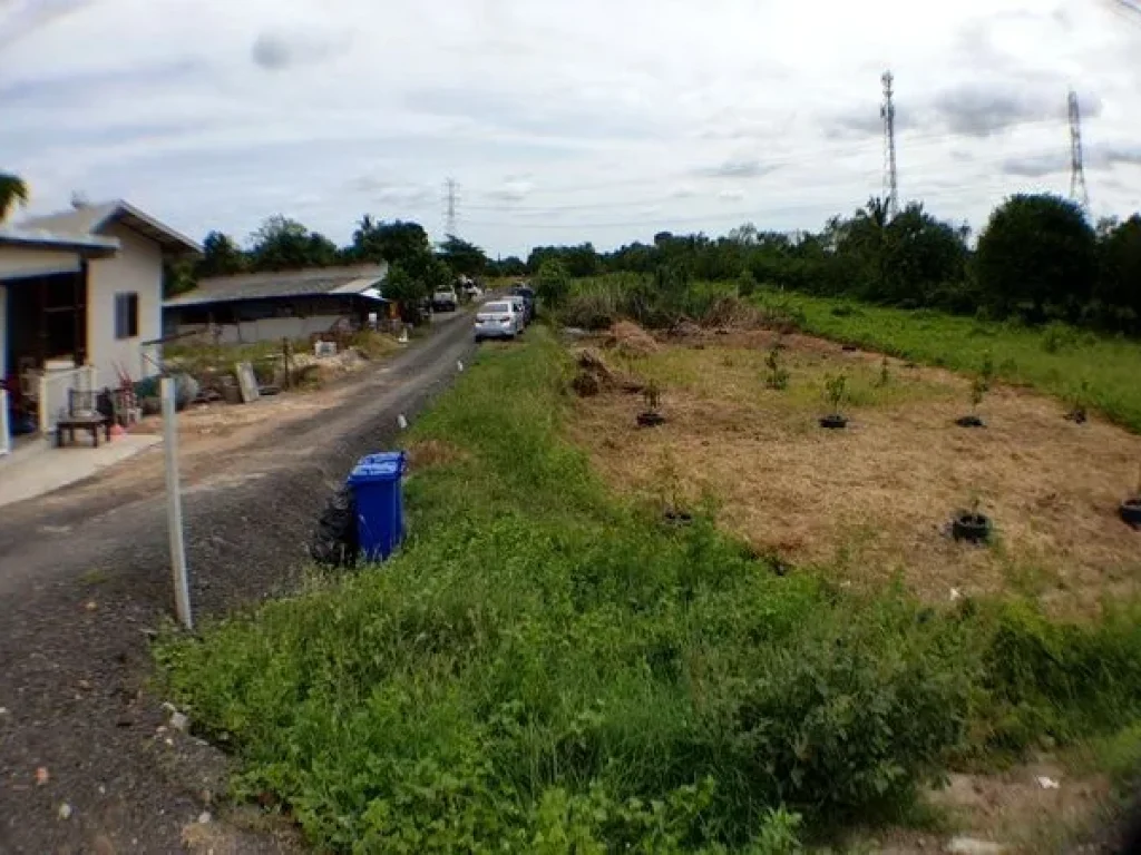 ขายที่ดิน ติดถนนบ้านกล้วย-ไทรน้อย ตำบลไทรน้อย อำเภอไทรน้อย