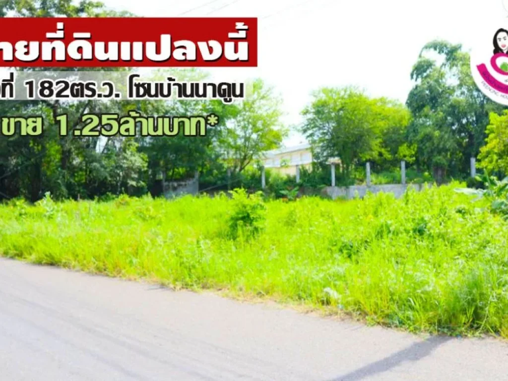 ขายที่ดินเปล่าสวยมาก ในชุมชนบ้านนาดูน ตขามใหญ่