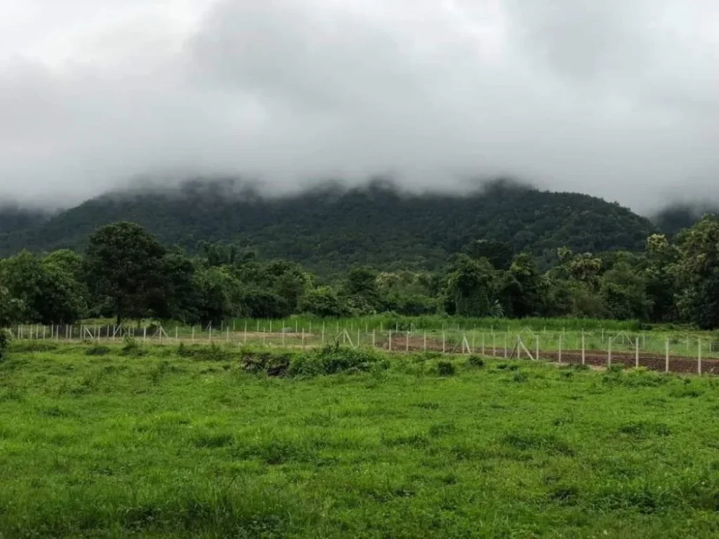 ขายที่ดินบ้านแม่ออน ออนกลางวิวภูเขาล้อมรอบพร้อมโอน