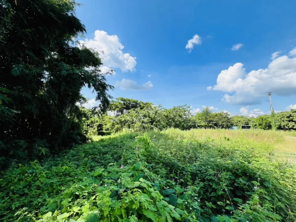 ที่ดินเปล่า ใกล้แยกน้ำบ่อหลวง ถเลี่ยงเมืองสันป่าตอง-หางดง