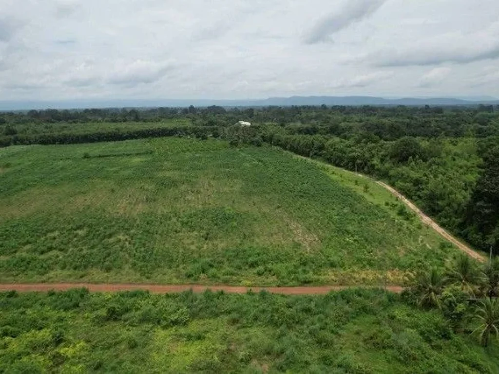 ขายที่ดินวังดาลเหมาะปลูกบ้านสวน รีสอร์ท 2 ไร่ ใกล้ถสุวรรณศร