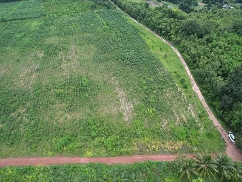 ขายที่ดินวังดาลเหมาะปลูกบ้านสวน รีสอร์ท 2 ไร่ ใกล้ถสุวรรณศร