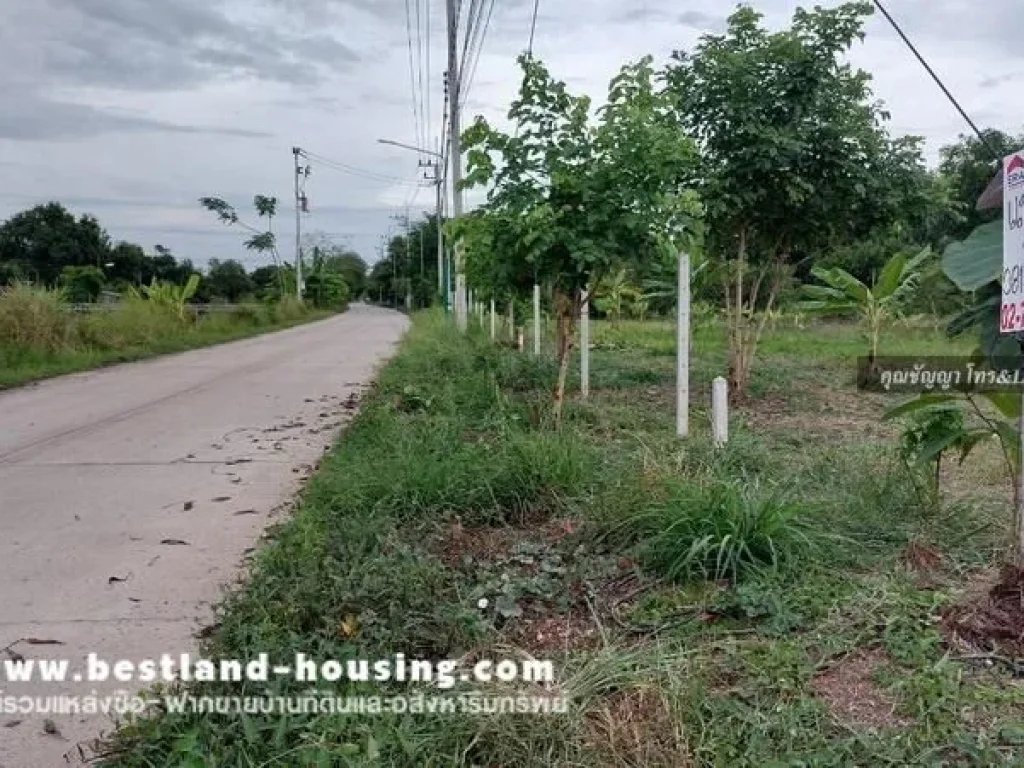 ขายที่ดินสวย ถนนพหลโยธิน ตำบลชะแมบ วังน้อง พระนครศรีอยุธยา