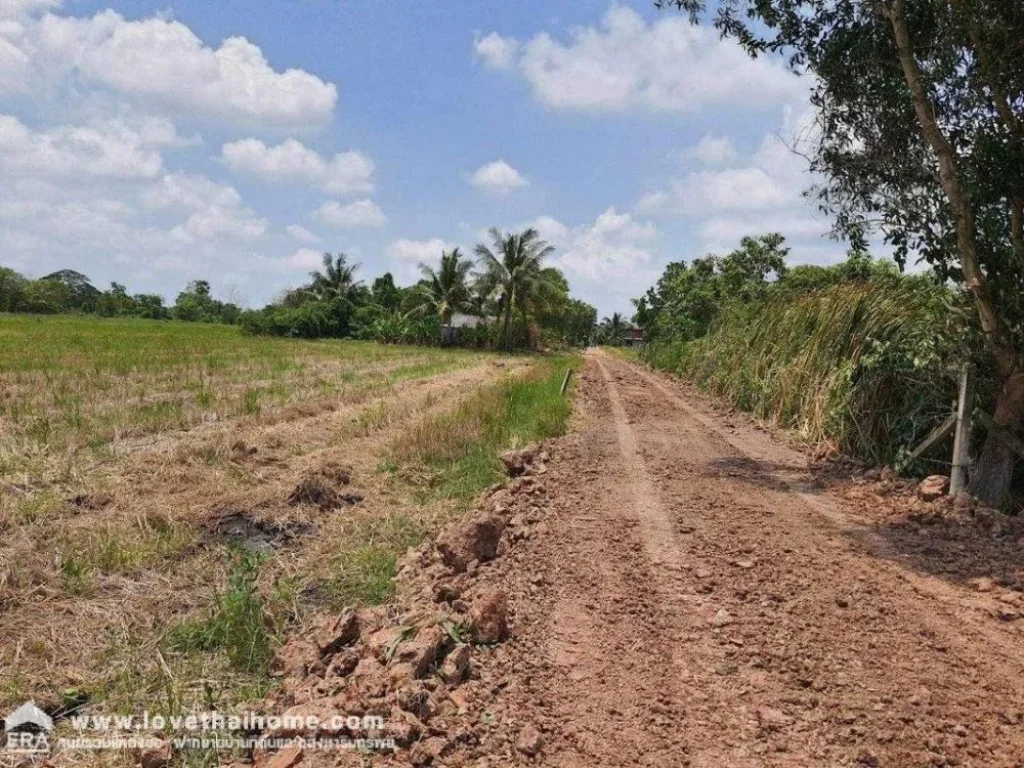 ขายที่ดิน ถคลองสิบ-คลองสิบสี่ หนองจอก พื้นที่ 204 ตรว ขาย