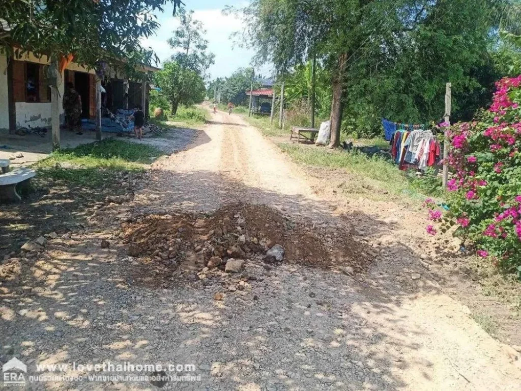 ขายที่ดิน ถคลองสิบ-คลองสิบสี่ หนองจอก พื้นที่ 204 ตรว ขาย