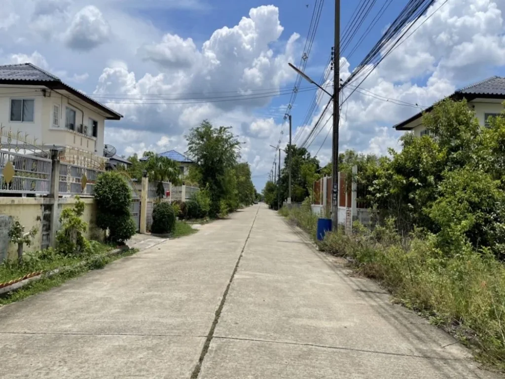 ที่ดิน คลอง11 บ้านสวนศรีปทุม เนื้อที่ 63 ตรวา หนองเสือ