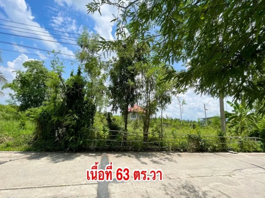 ที่ดิน คลอง11 บ้านสวนศรีปทุม เนื้อที่ 63 ตรวา หนองเสือ