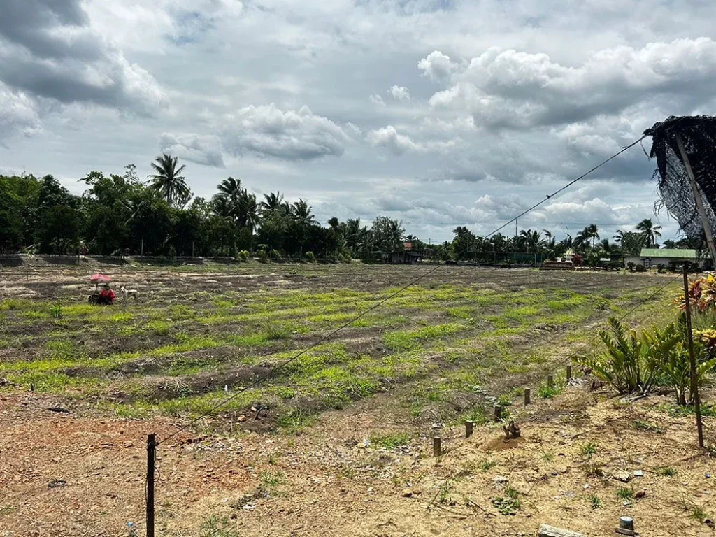 ขายที่ดิน 20 ไร่ ติดถนนดำ ใกล้วัดวังน้ำขาว ตคลองจินดา