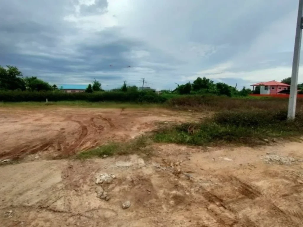 ขายที่ดินโสธร แปดริ้ว 100 ตรว ถมแล้ว ซอยหลังไทวัสดุ