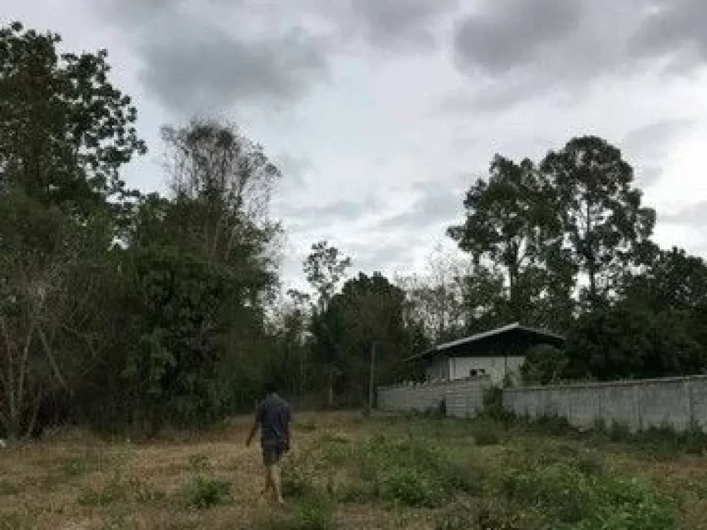 ขายดินทำเลดี ชุมชนดี ไม่เปลี่ยว ติดถนนซอย เจ้าของขายเอง