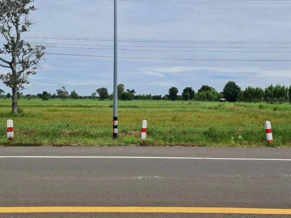 ขายถูกมาก ที่ดิน 3 ไร่ ติดถนนใหญ่ 4 เลน ทำเลดี อประโคนชัย