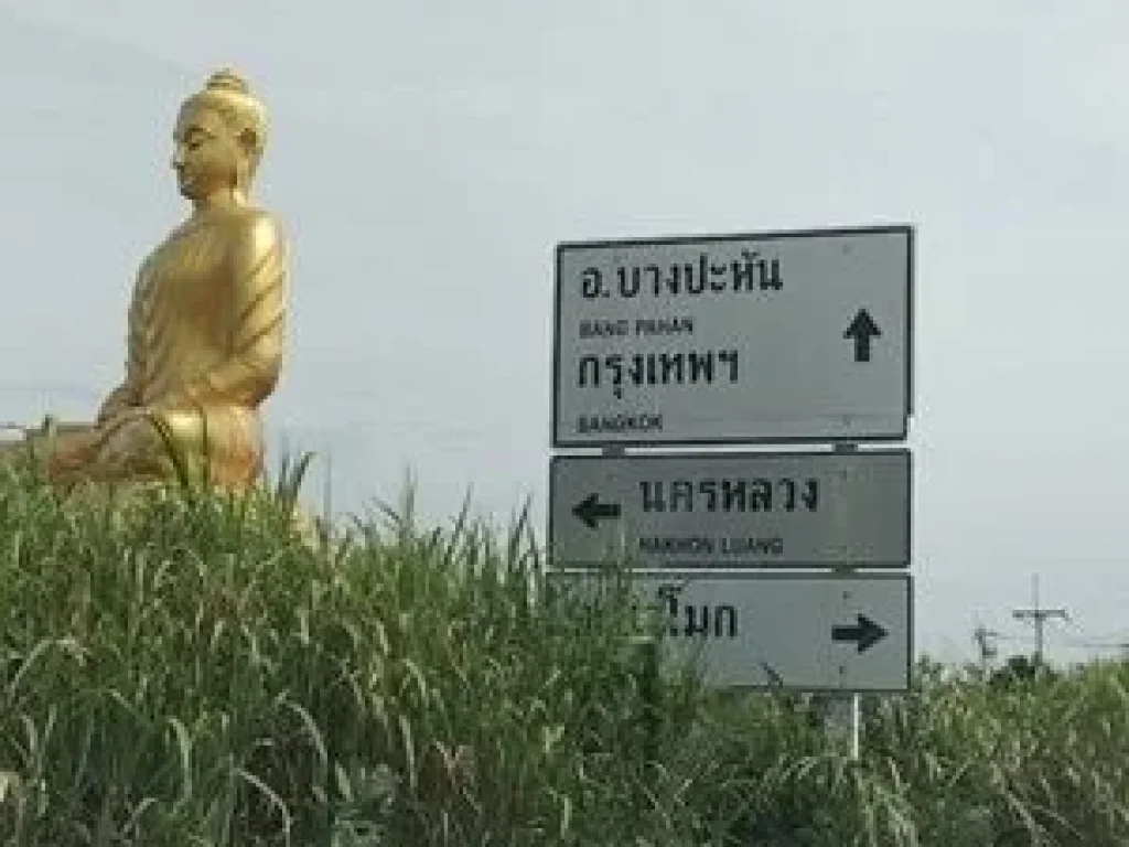 ขายที่ดิน บางปะหัน อยุธยา 50-60 ตรว ราคาเริ่มต้น 390000 โฉนด