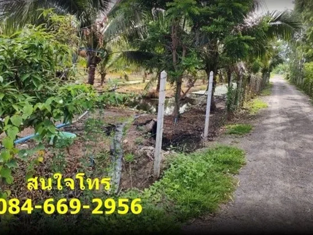 ขายที่ดินติดถนน 2 ด้าน คูบัว เมืองราชบุรี ราชบุรี