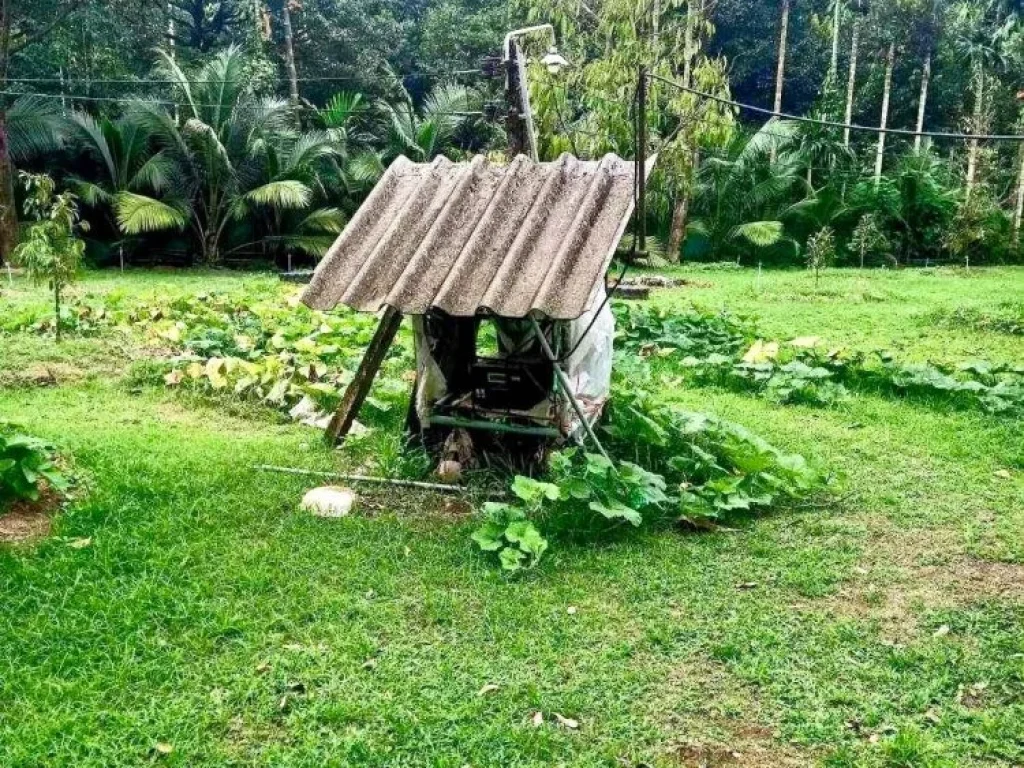 ขายถูก ที่ดินสวนทุเรียน โฉนดครุฑแดง ท่าใหม่ จันทบุรี