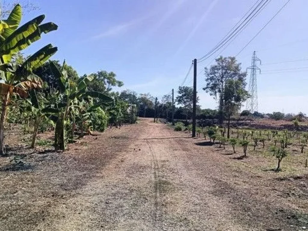 ขายขายที่ดินโฉนด บ้านสวนหนองคายโฉนด3แปลงติดกัน เจ้าของขายเอง