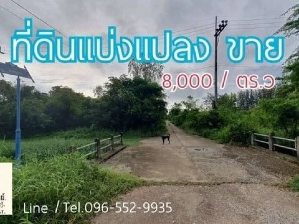 ที่ดินแบ่งขาย 229 ตรว ในหมู่บ้านจัดสรร ใกล้แกรนด์จามจุรีรีสอ