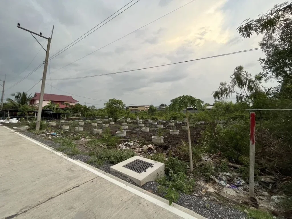 ขายที่ดิน 1 ไร่ ในคลองสาม อคลองหลวง ถมแล้ว ติดถนนสาธารณะ