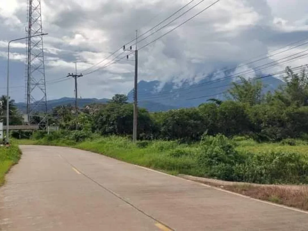 ขายที่ดินตำบลแม่นะเชียงดาววิวสวยติดแม่น้ำปิงยาว 130 เมตร