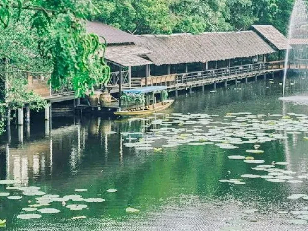 คาเฟ่กาแฟ-ร้านอาหาร 105 ไร่ มหิดล ศาลายาขายที่ดิน-เรือนไทย-