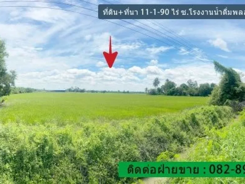 ขายที่ดินที่นา 11-1-90 ไร่ 4590 ตรว สามชุก สุพรรณบุรี