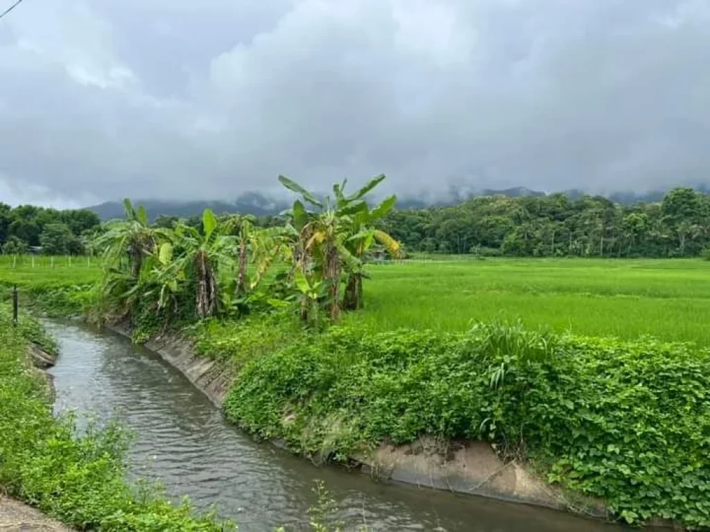 ขายที่ดินติดลำธารน้ำภูเขาล้อมรอบแม่ออนออนกลางพร้อมโอน