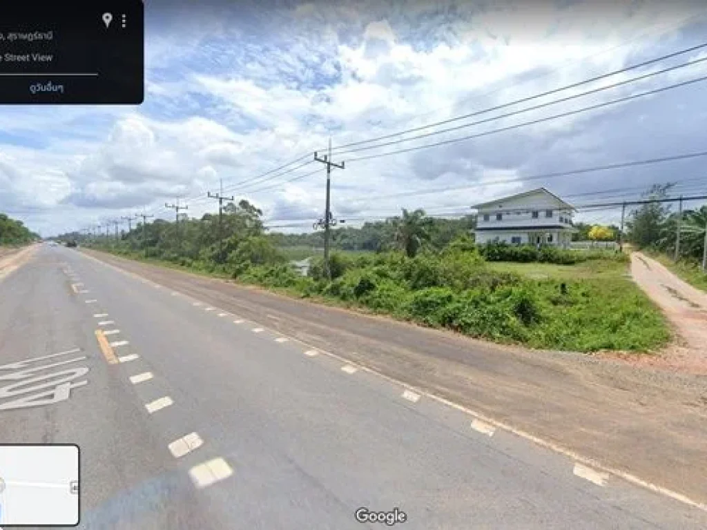 ขายที่ดิน 95ตรวใกล้ รรพุทธนิคม เพียง 299000