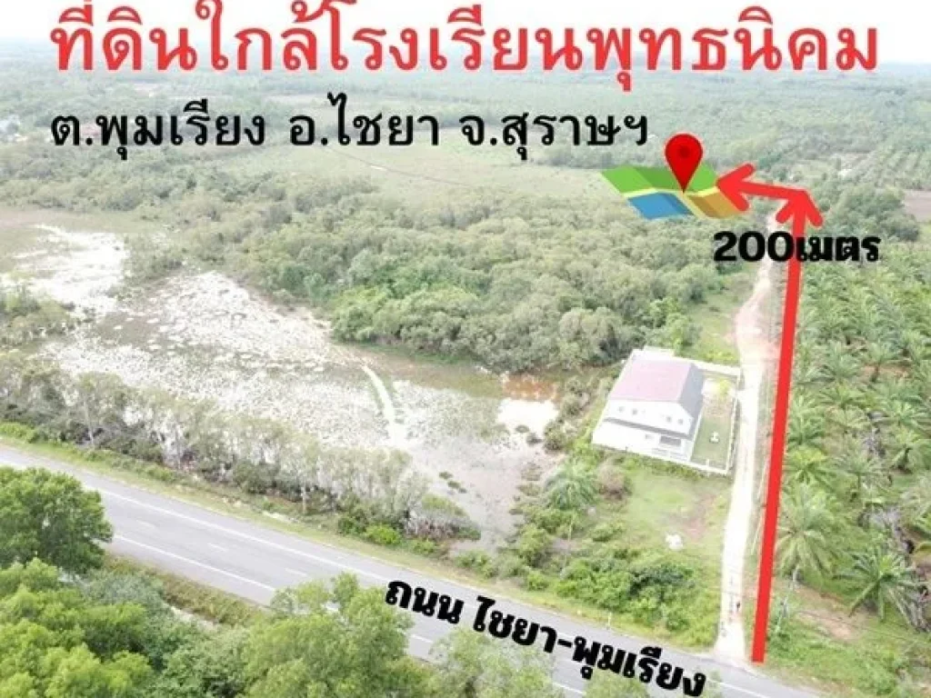 ขายที่ดิน 95ตรวใกล้ รรพุทธนิคม เพียง 299000