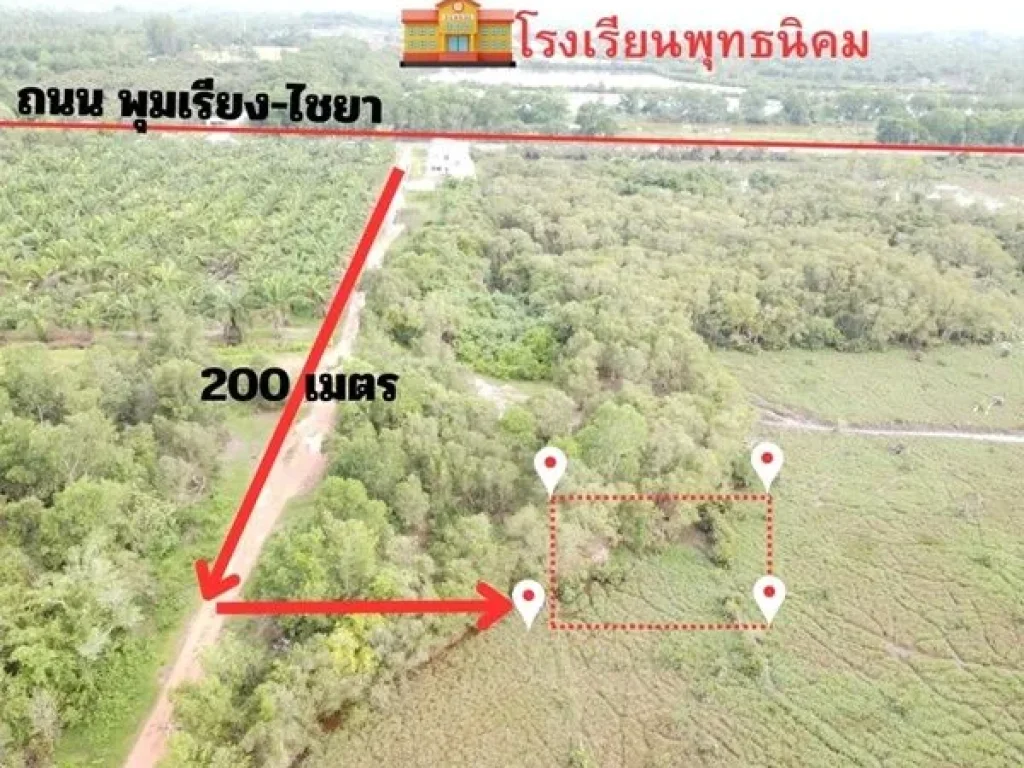 ขายที่ดิน 95ตรวใกล้ รรพุทธนิคม เพียง 299000