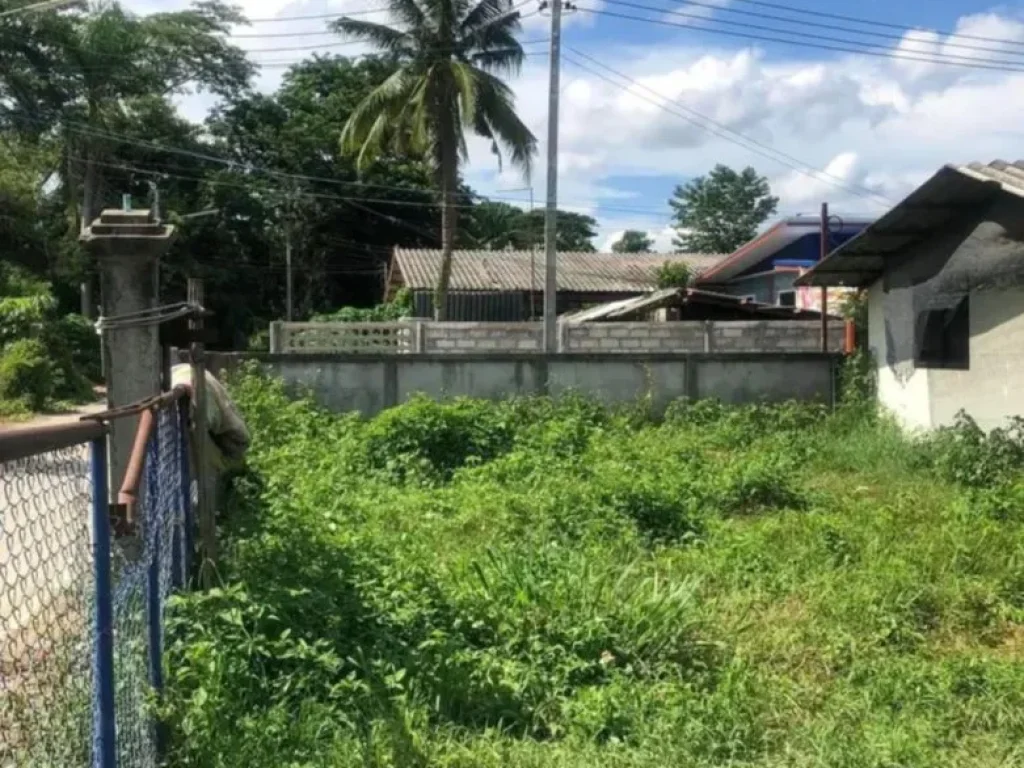 ขายที่ดินติดถนนหมู่บ้านแถวแยกแม่กวงสันทรายสันนาเม็งพร้อมโอน