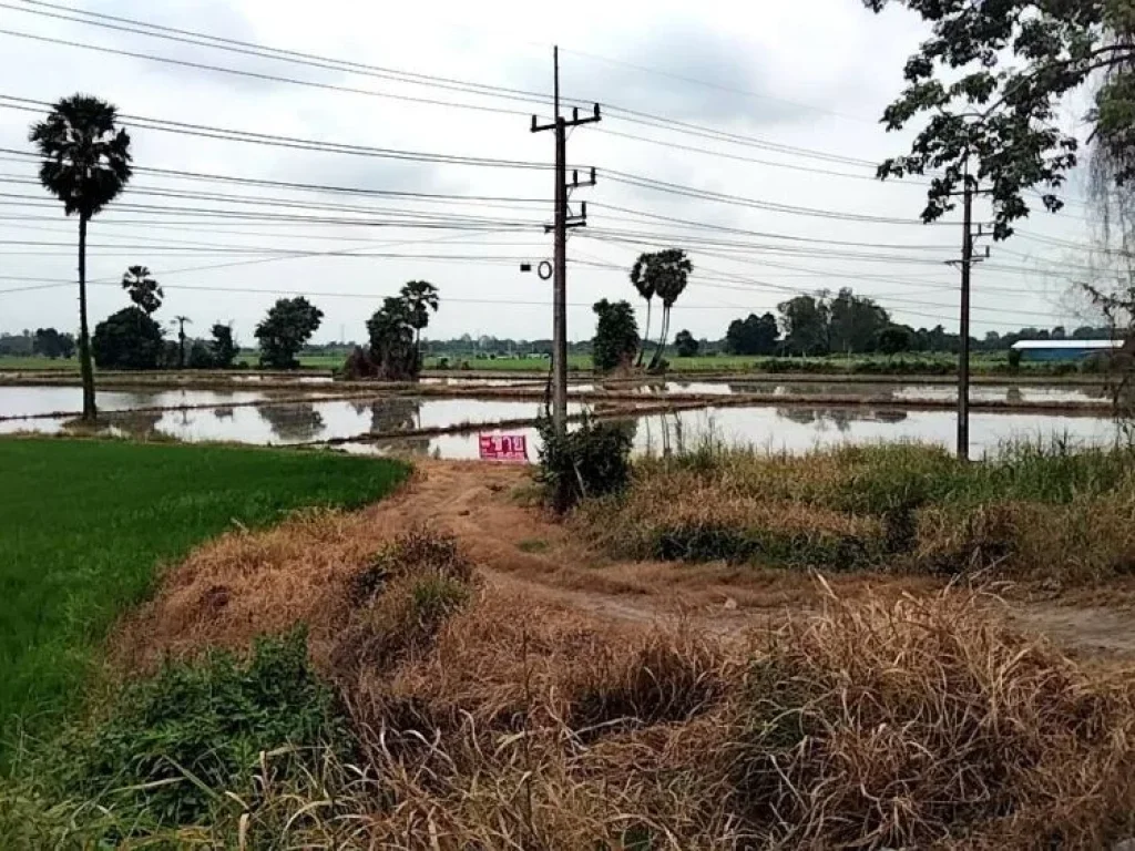 ขายที่ดิน แปลงใหญ่ติดทางหลวงสายเอเชีย นครสวรรค์-พิษณุโลก