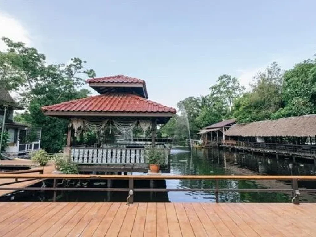 มหิดล ศาลายาขายที่ดิน-เรือนไทย-เรือนแต่งงาน